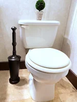 Master Plunger 1600, With tall bucket, photo 2
