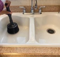 Master Plunger 100, Black, photo 3