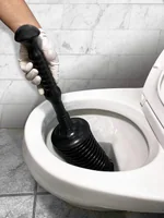 Master Plunger 1600, Plunger only, photo 2